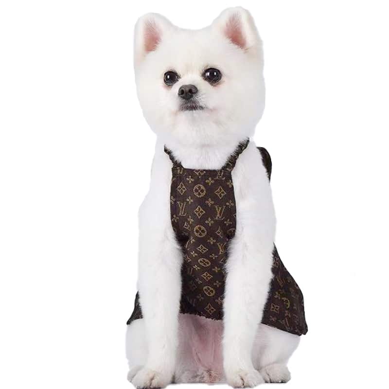 Louis Vuitton dog tracksuit,pet clothes - China Louis Vuitton dog