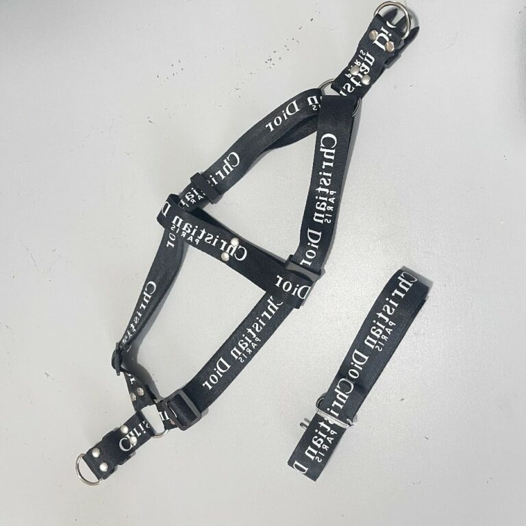 Dior no pull dog harness Christian dior dog walking harness set New