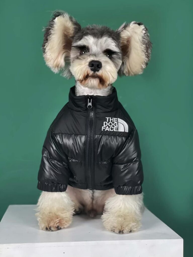 the dog face jackets