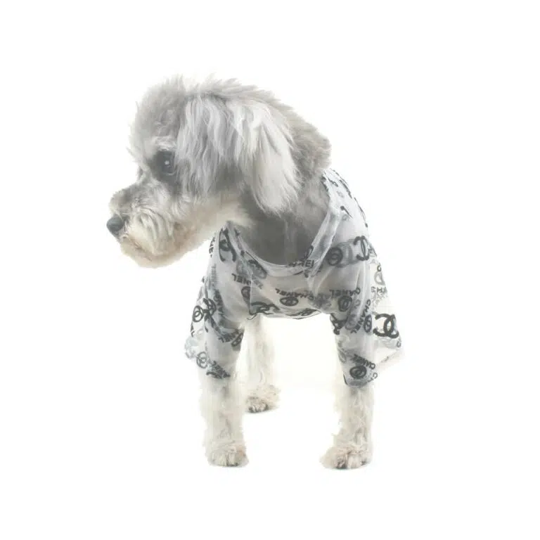 Chanel tshirt for dogs