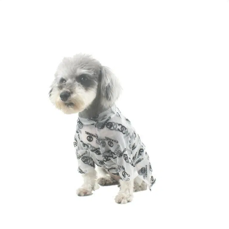 Chanel tshirt for dogs
