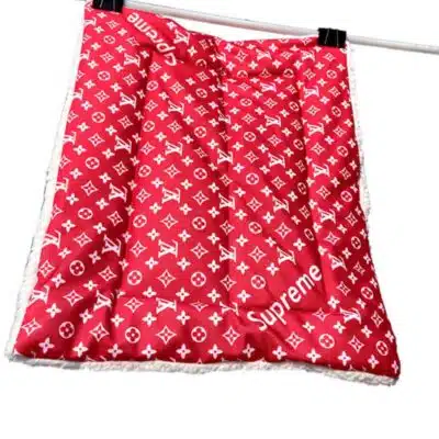 Louis Vuitton blanket for puppies (6)