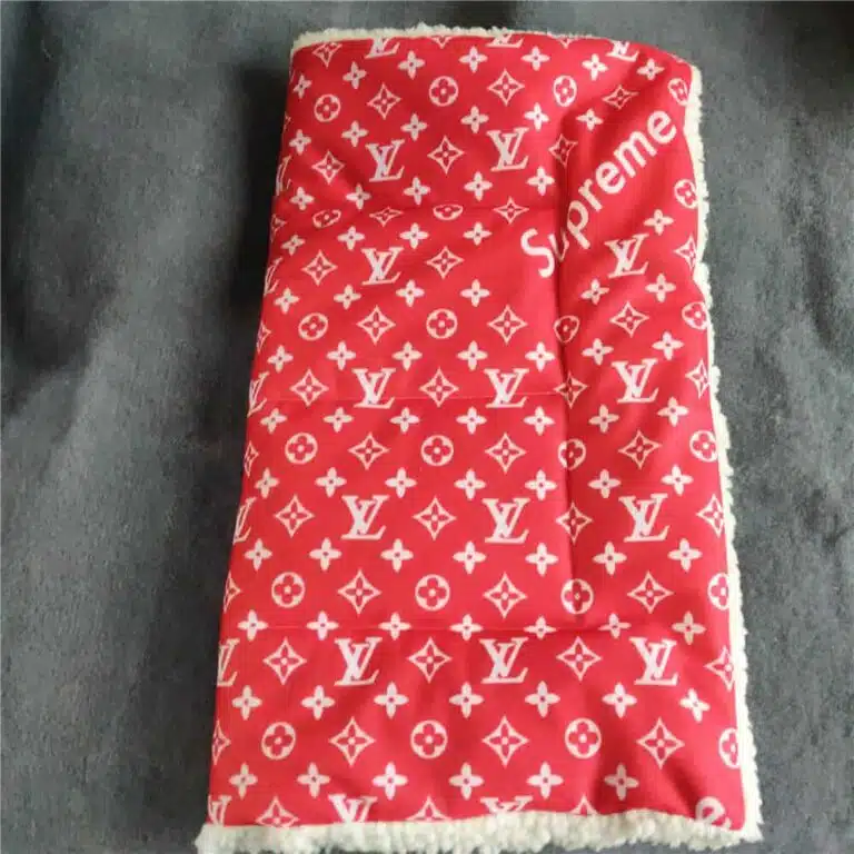 Louis Vuitton blanket for puppies (6)