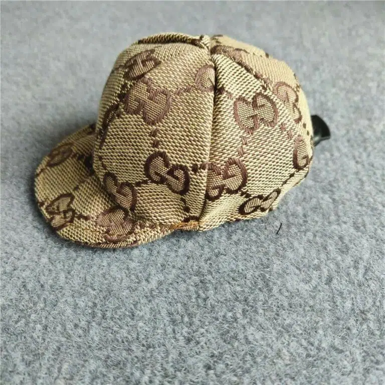 dog hat