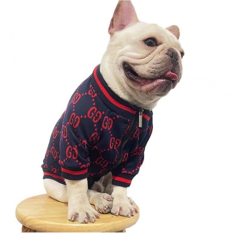 Gucci Petwear | New Gucci Jacket ,Luxury Designer Dog Pet Wear,w108 ...
