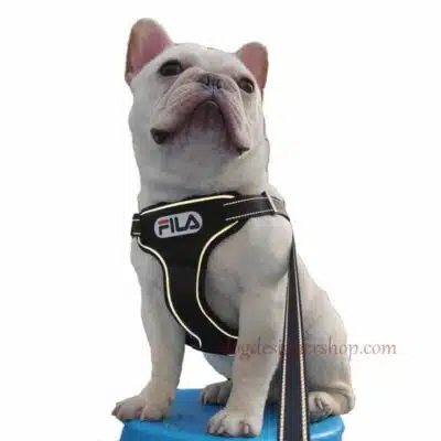 Fila harness for dogs