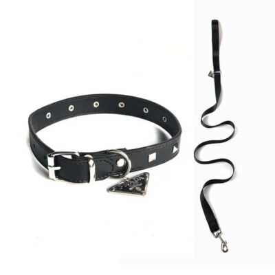 collar and leash