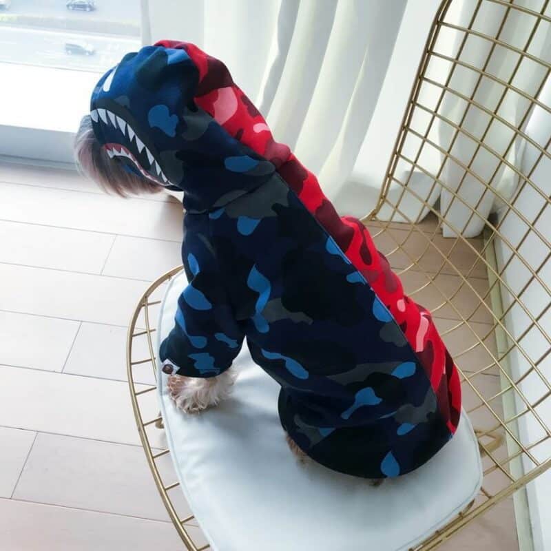 bape dog hoodies