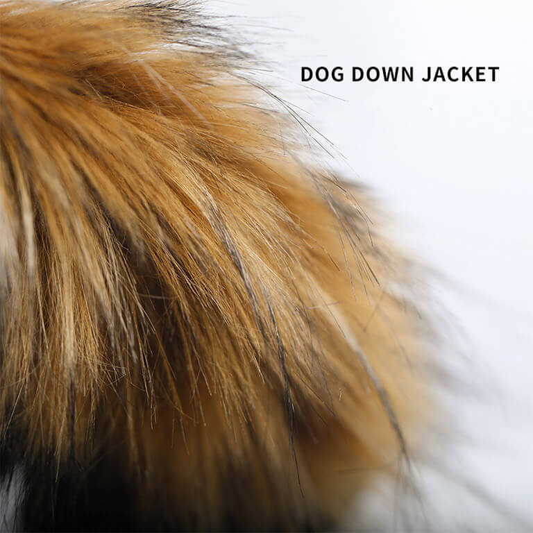 Canada goose dog jacket Dog Puffy Jacket2023 Luxury downjacket