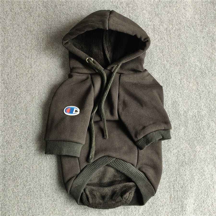 champion jacket urban outfitters