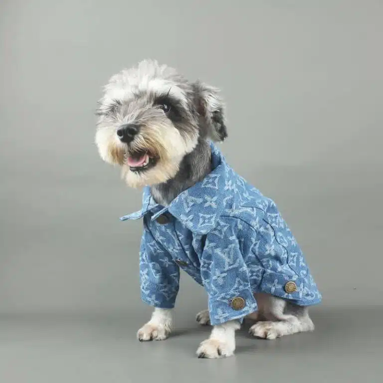 denim dog jackets for small dogs