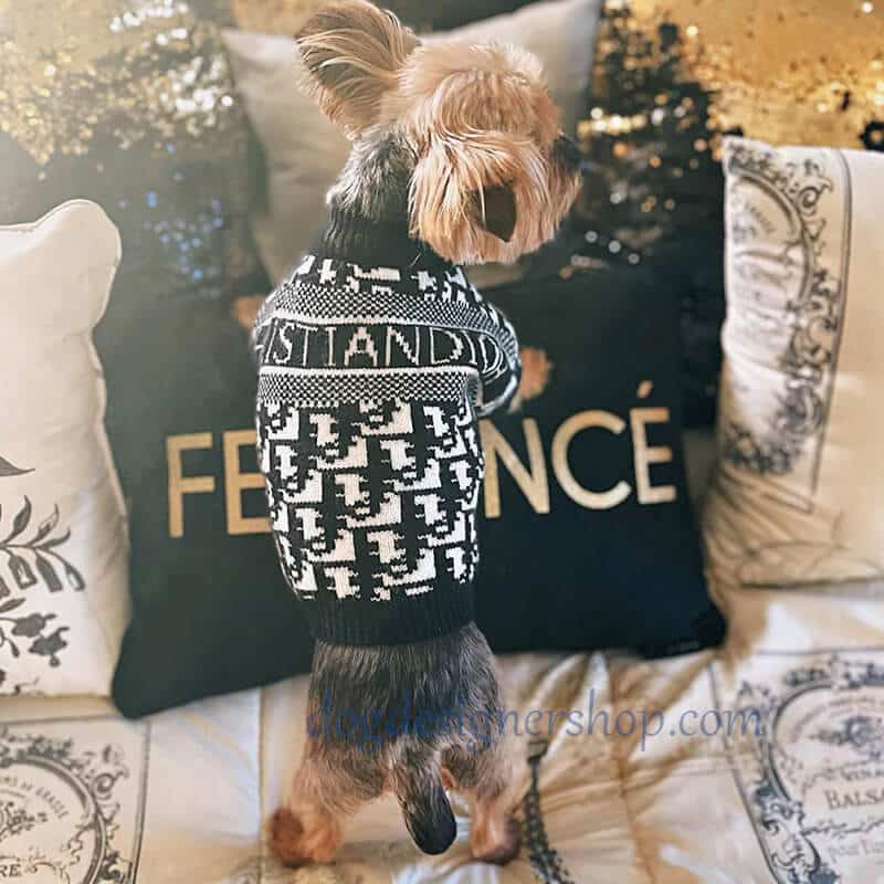 dior dog jumper