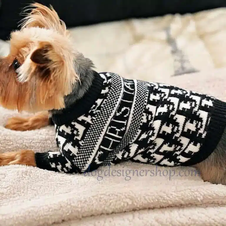 dior sweater for dog