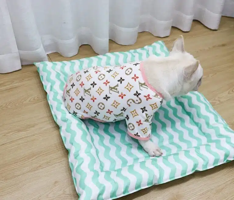 dog jumpsuit with legs