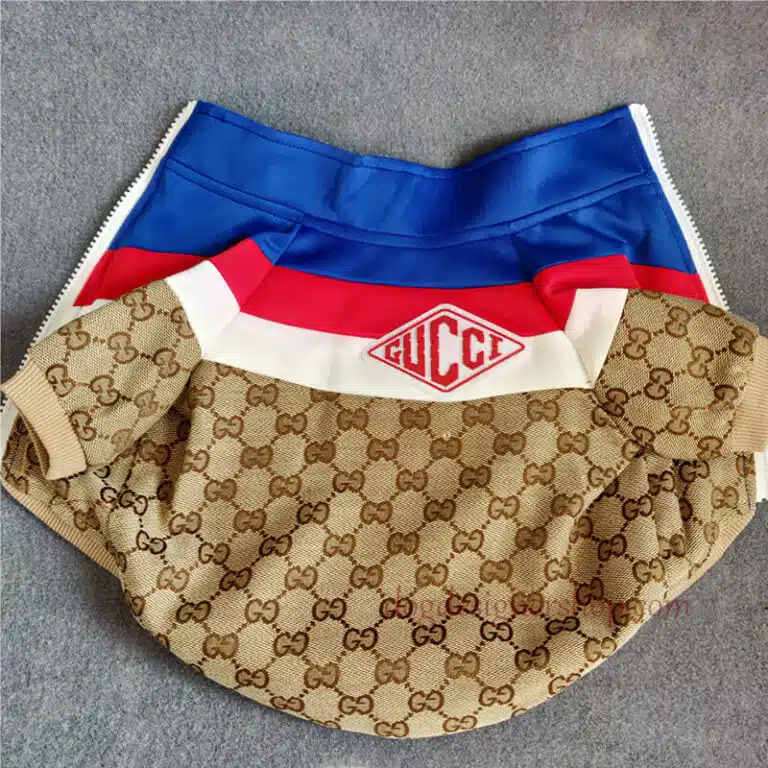 gucci dog outfit