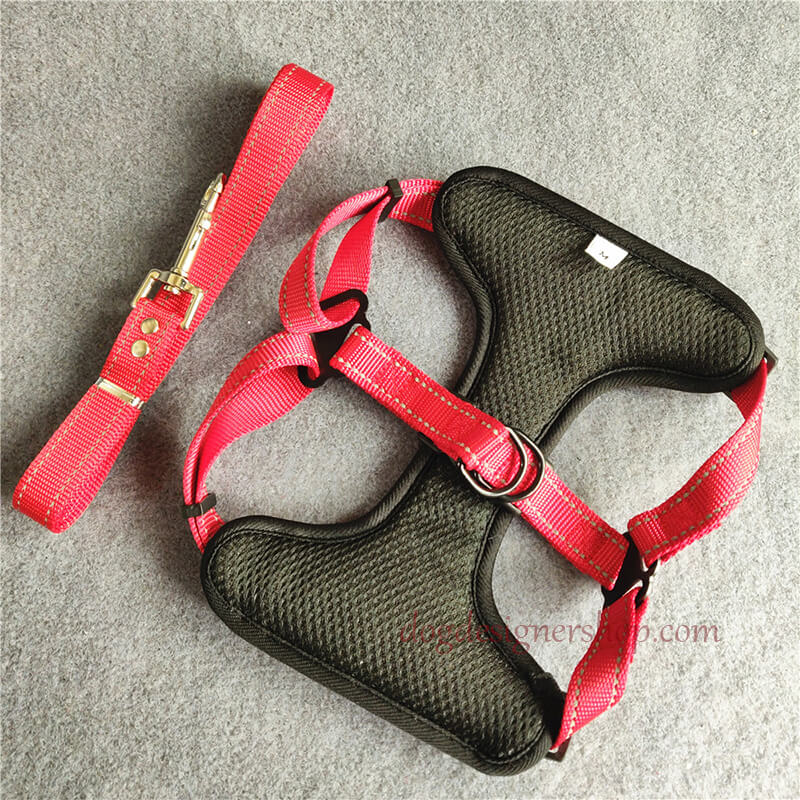 louis Vuitton harness for dogs
