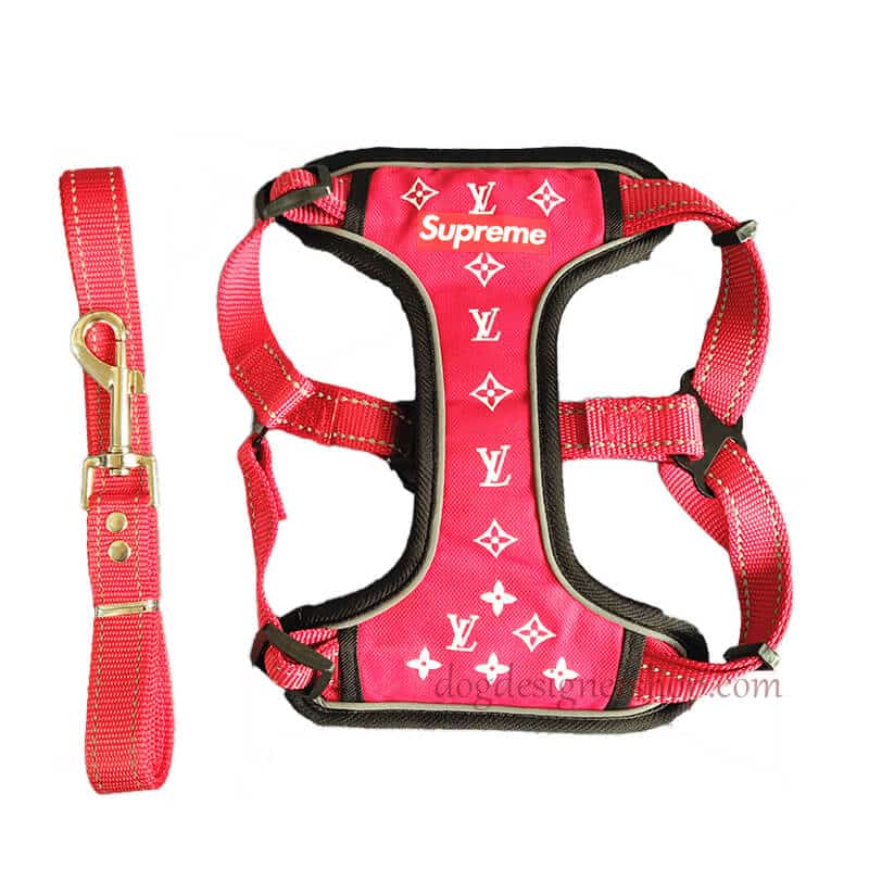 louis Vuitton harness for dogs