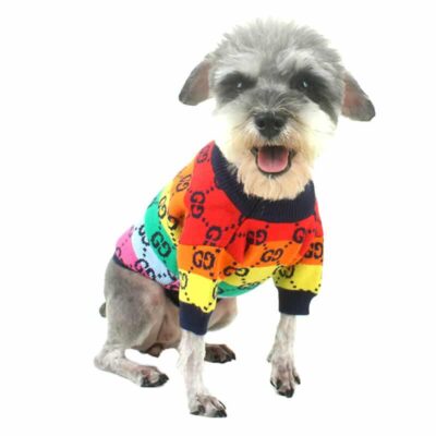gucci sweater for dog