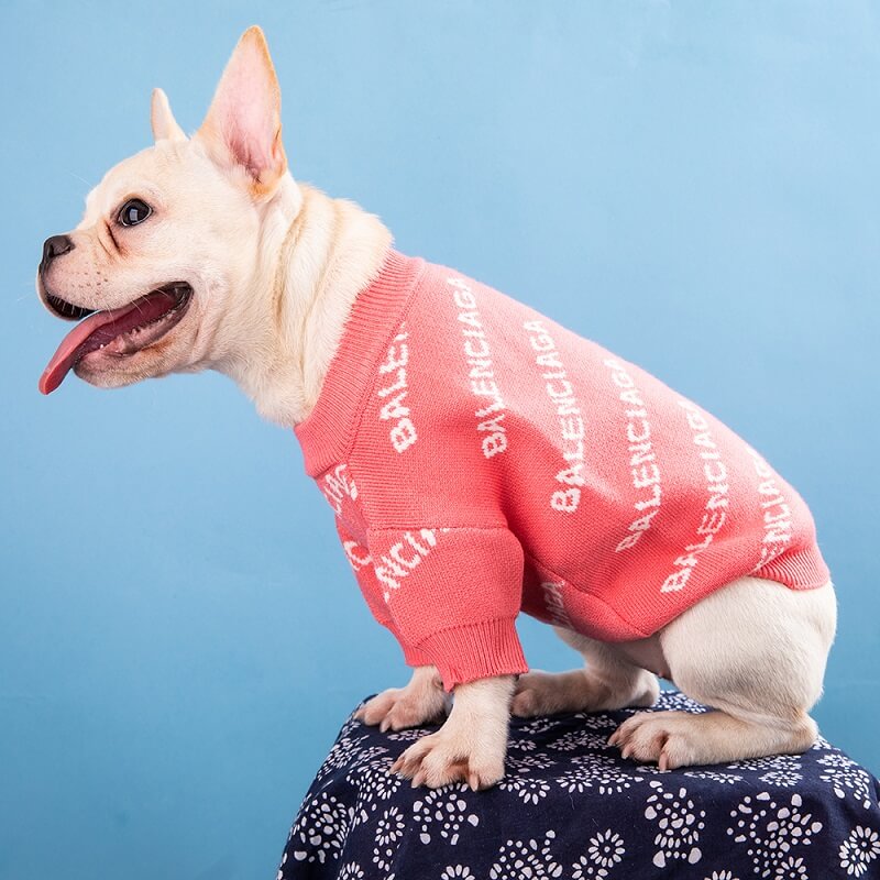 Balenciaga dog sweater