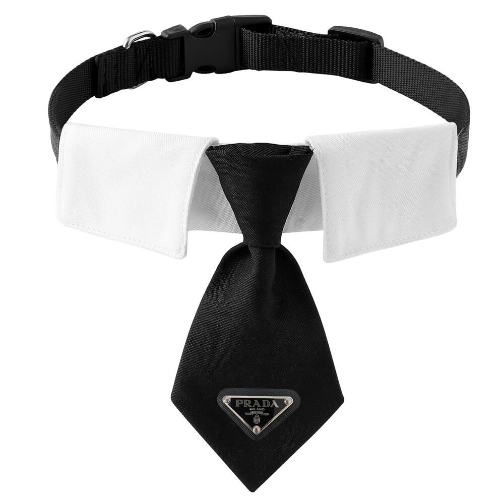Logo Crystal Embellished Dog Collar in Black - Prada