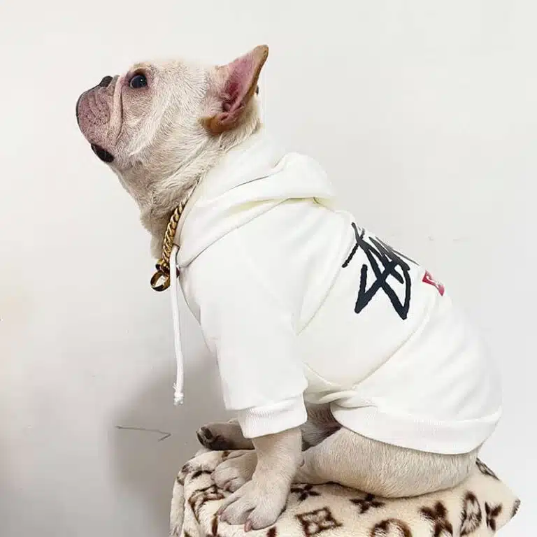 Stussy hoodies for dogs
