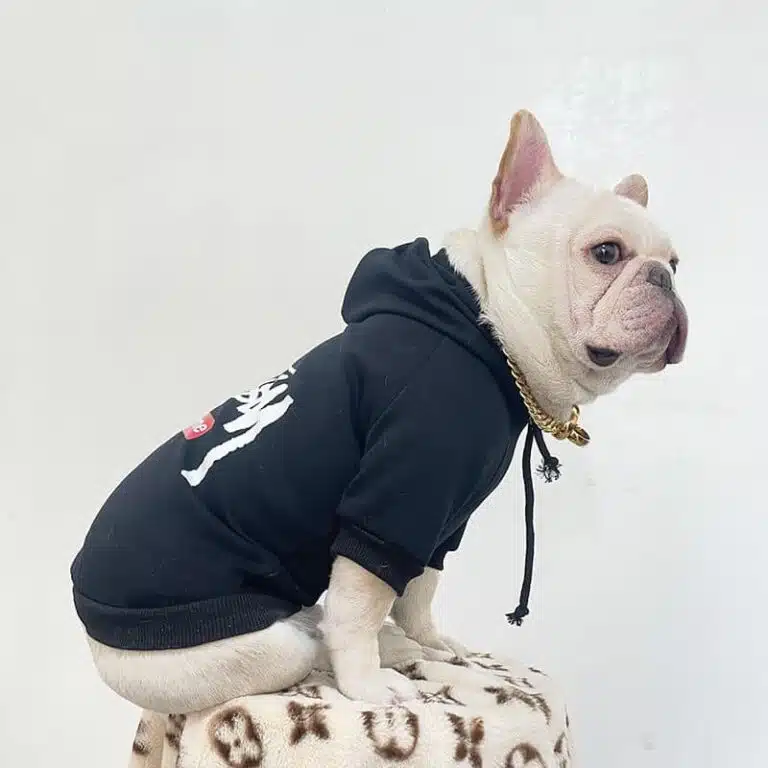 Stussy hoodies for dogs