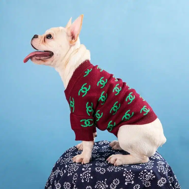 chanel sweater for dog