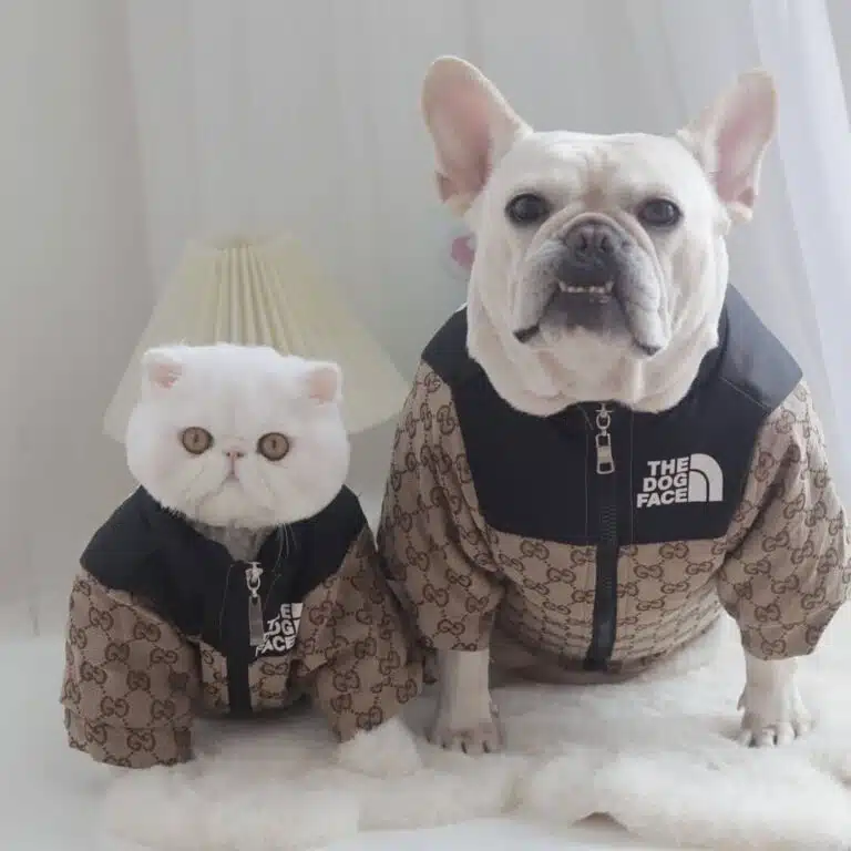 dog snow jacket