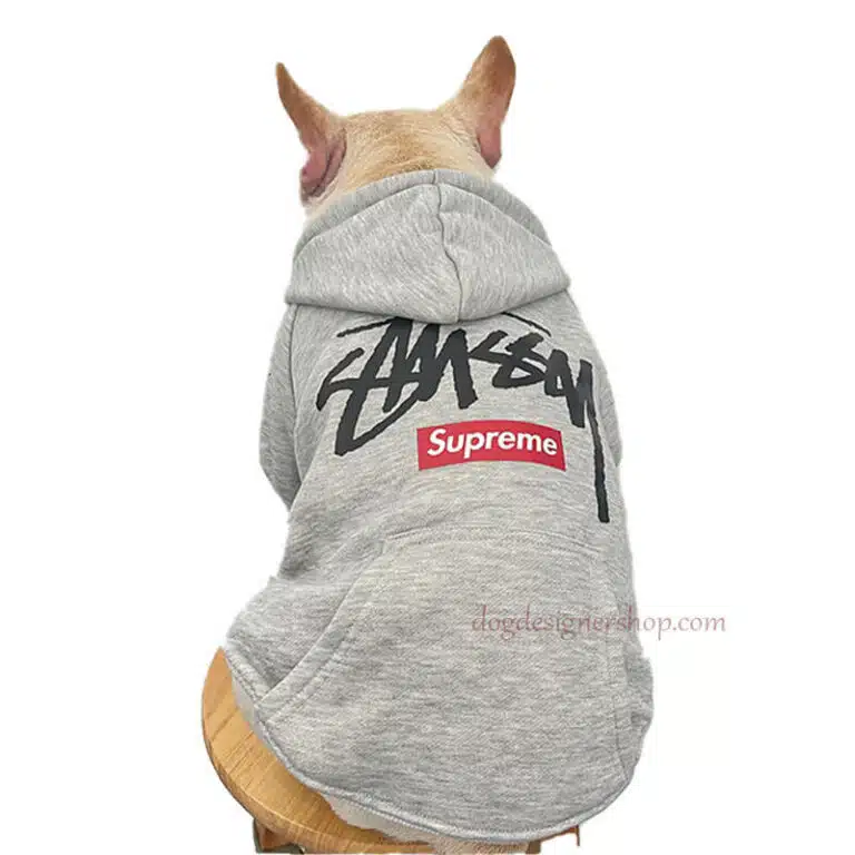 stussy dog clothes