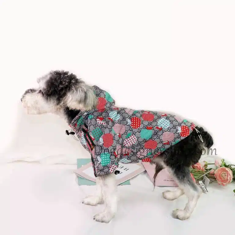 Gucci dog clothes wholesale