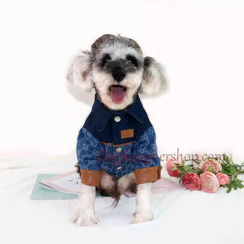 blue jean jacket for dogs