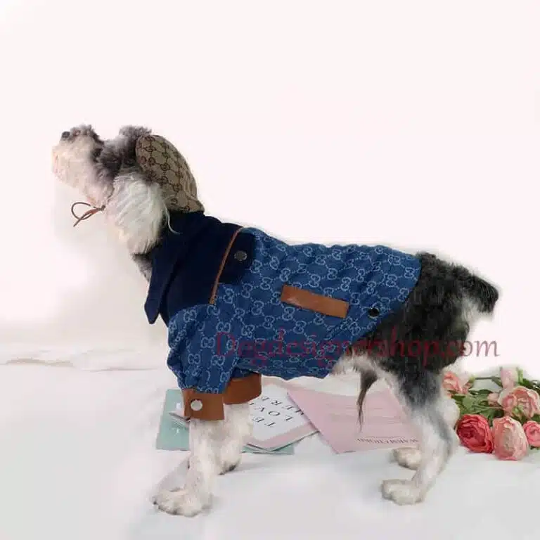 blue jean jacket for dogs