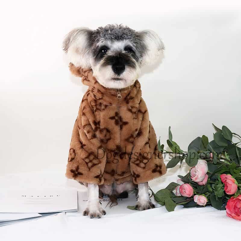 Digging my Louis Vuitton inspired jacket 🐶🧥 #louisvuitton #wintercoat  #puppiesofinstagram #dogsofinstagram #bernedoodlesofinstagram…
