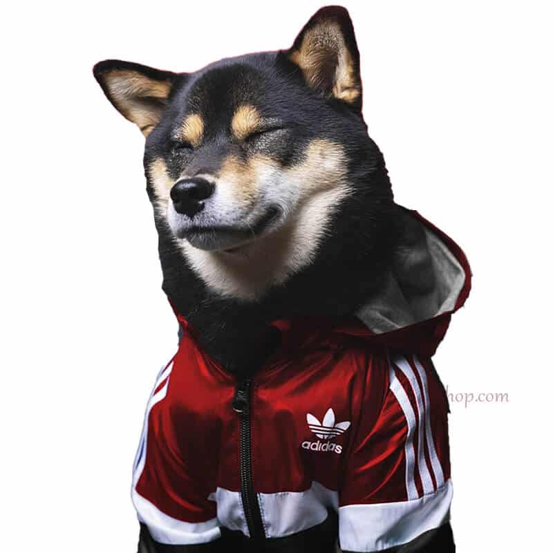 ADIDAS|dog Outfits,windbreaker,collars,harness,leashes,vest,tank|