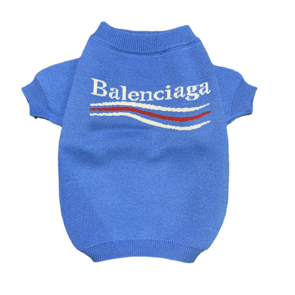 balenciaga dog hoodie