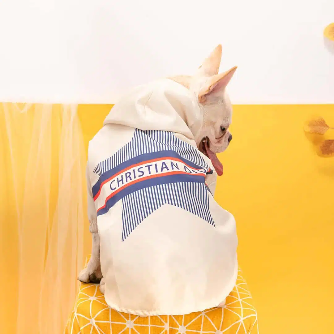Dior dog clothes