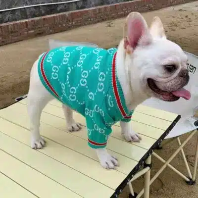 cheap dog sweaters