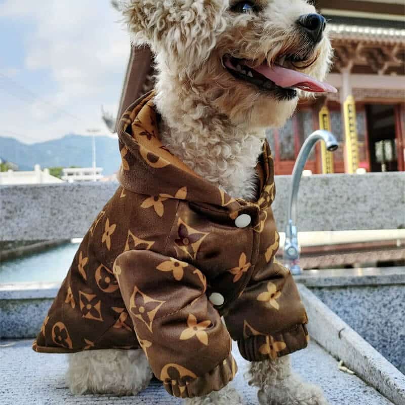 LV dog coats