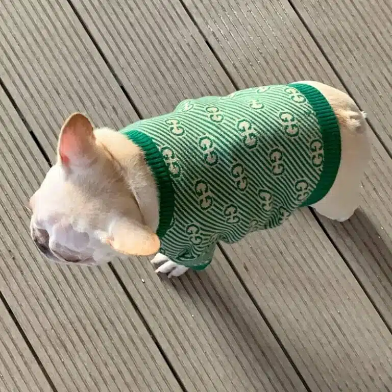 xxl dog sweater