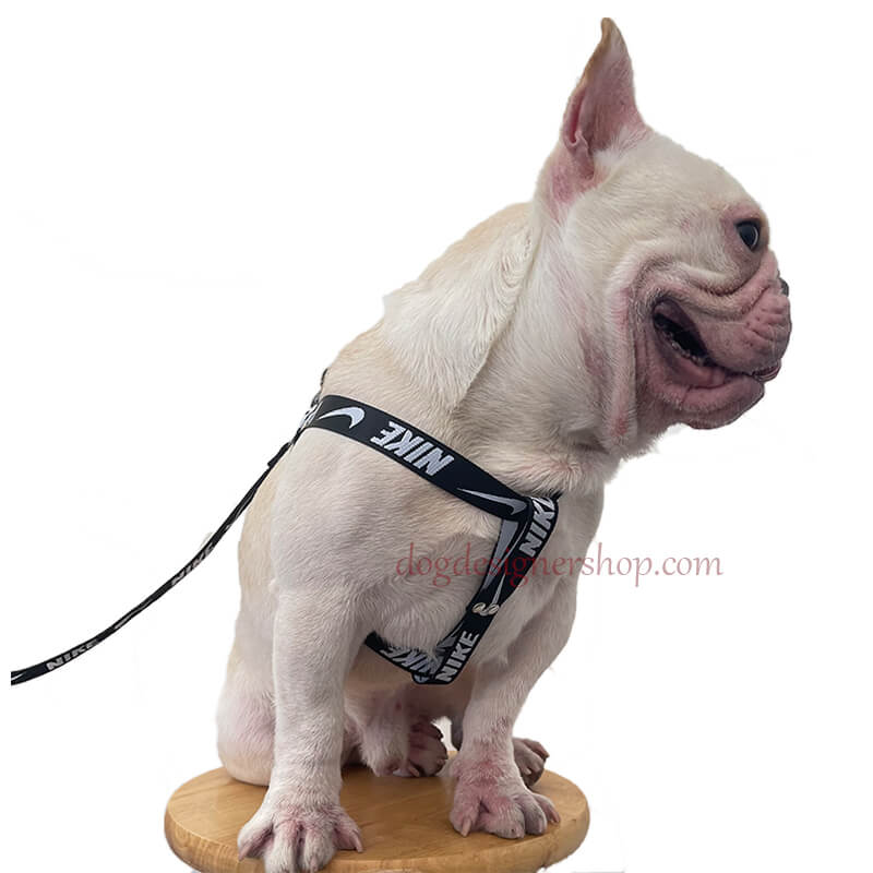 step in harness for dogs