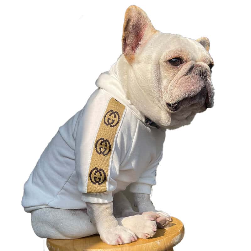 Gucci dog clothes for sale Dog sweatshirt, Puppy Hoodies w421