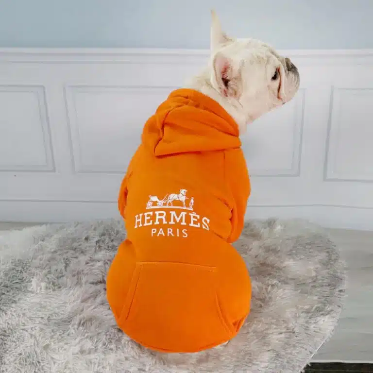 HERMES dog hoodies