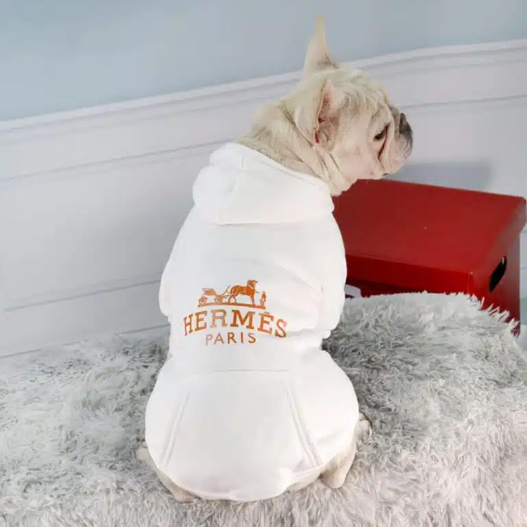HERMES dog hoodies