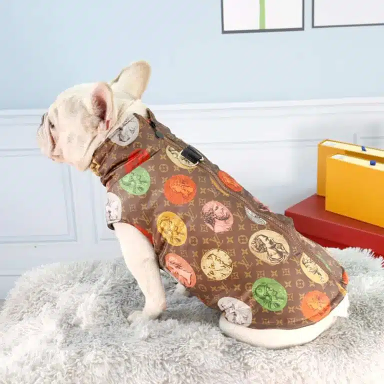 dog clothes designer