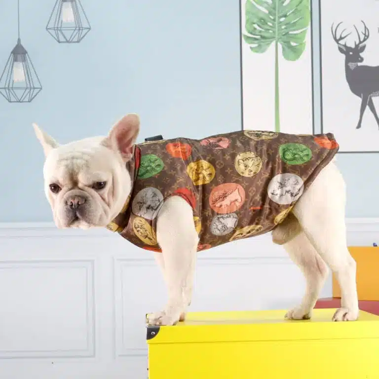 dog clothes designer