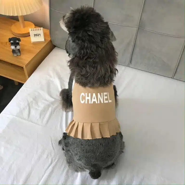 puppy dress