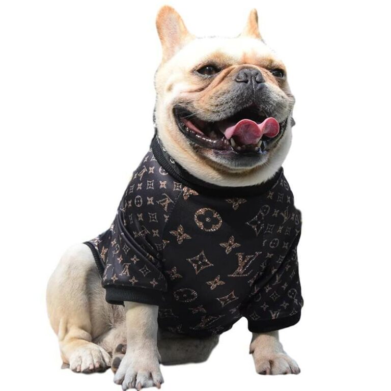 Versace dog clothes | Cute Small Medium Dogs , Luxury design dog ...