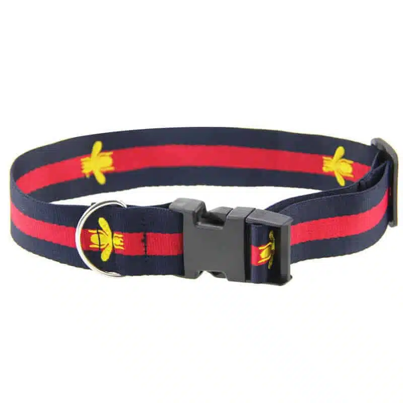 6 Designer Dog Collars — Designer Dog Collars Gucci Dog Collars
