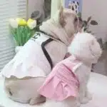 Chanel inspired dog dress