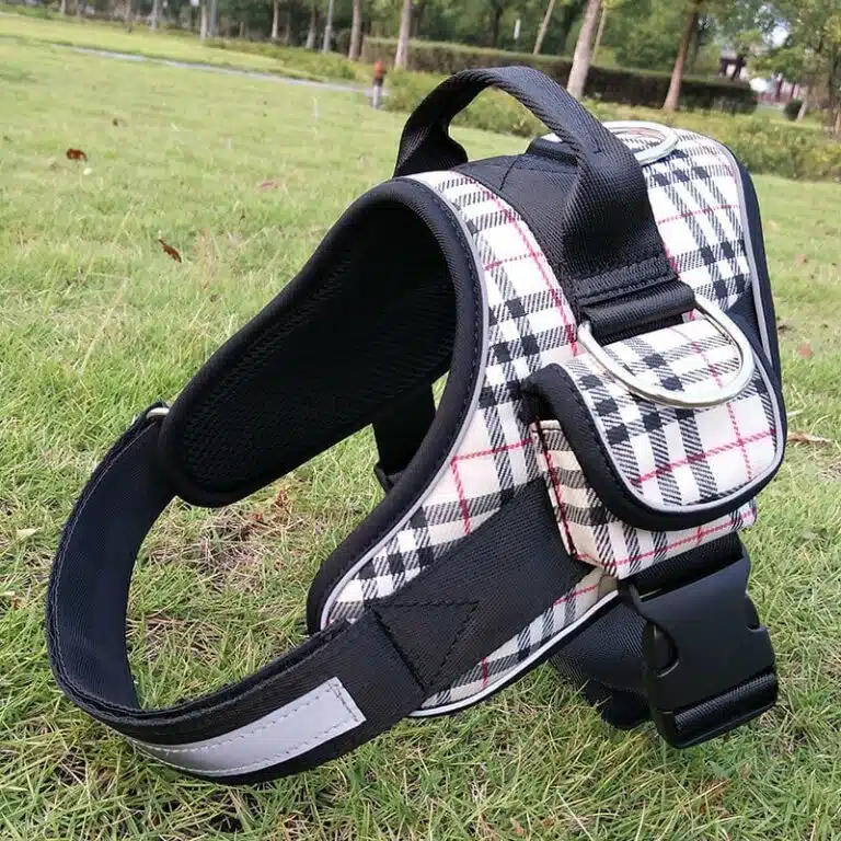 DOg harness with handle